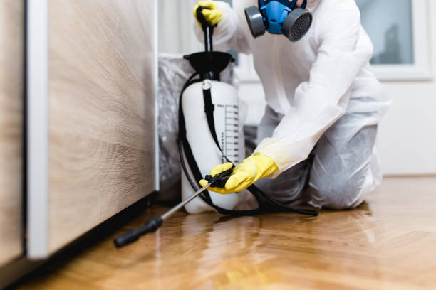 Best Pest Control for Businesses  in Lorenzo, TX