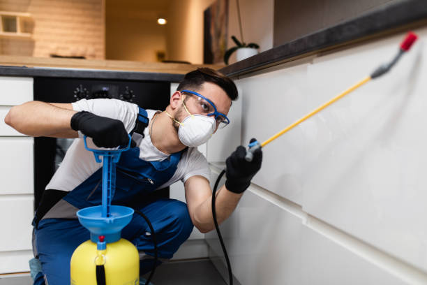 Best Wasp Removal Services  in Lorenzo, TX