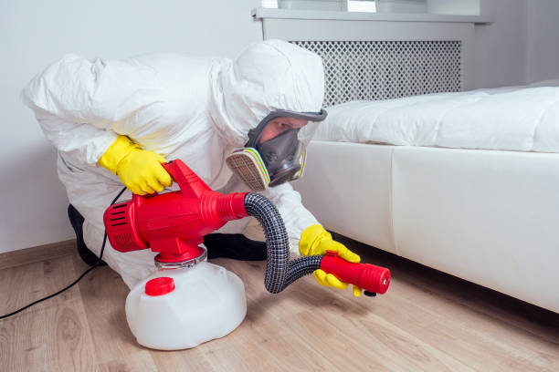 Best Flea Control Services  in Lorenzo, TX