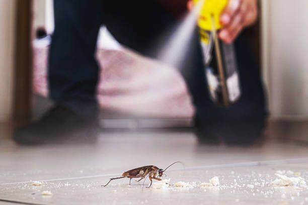 Pest Control for Restaurants in Lorenzo, TX
