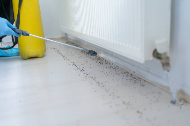 Best Wildlife Control Services  in Lorenzo, TX